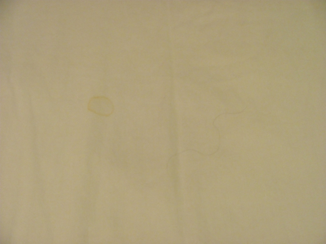 Green Gables Motel & Suites主图