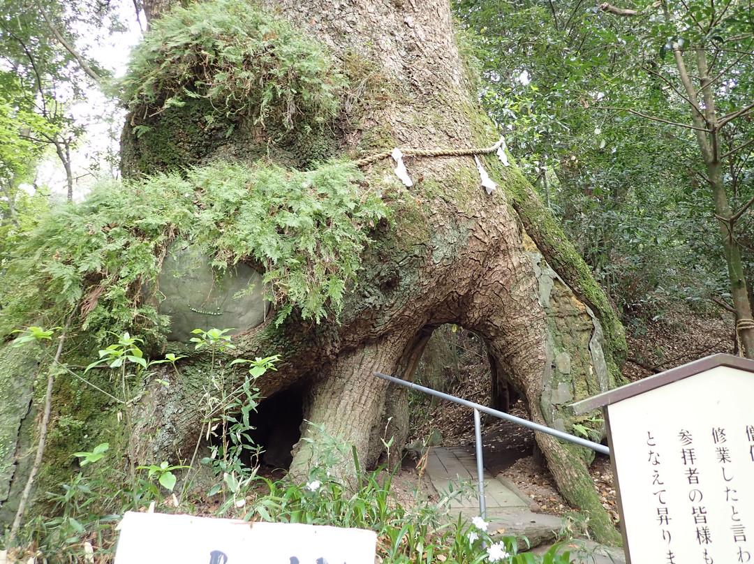 Tsuma Kirishima Shrine-都城市必去景点