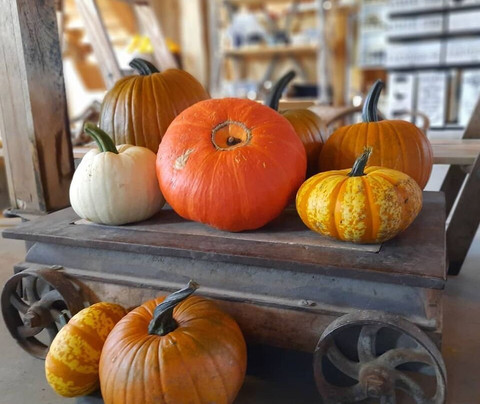 Deer Meadow Farms-温尼伯必去景点