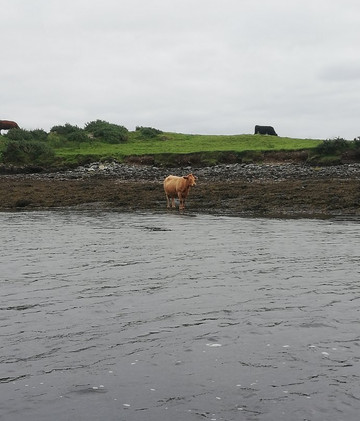 Paddle and Sea-Cahersiveen必去景点
