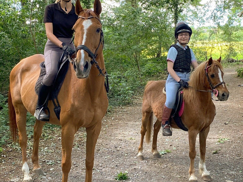 Ruislip Woods National Nature Reserve-赖斯利普必去景点