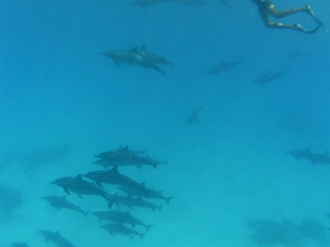 4 Ever Sea-马萨阿拉姆必去景点