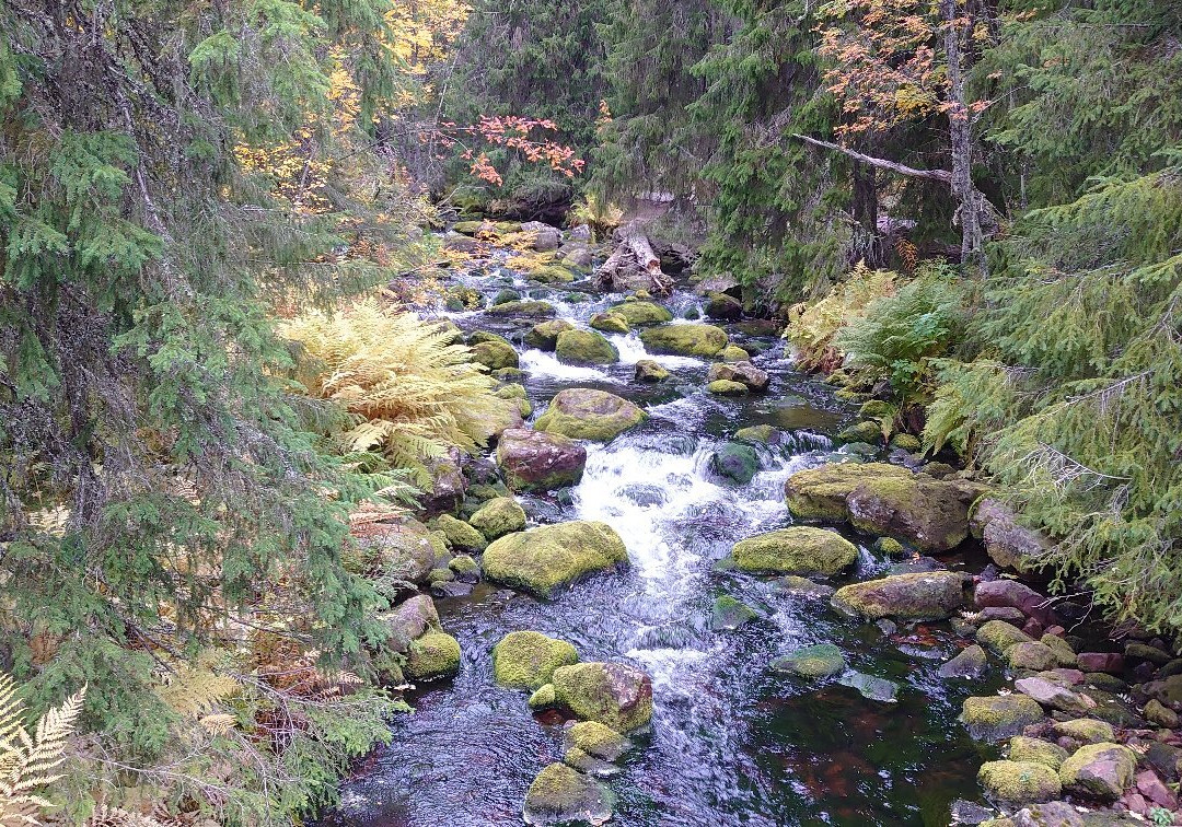 Njupeskär Vattenfall-Sarna必去景点