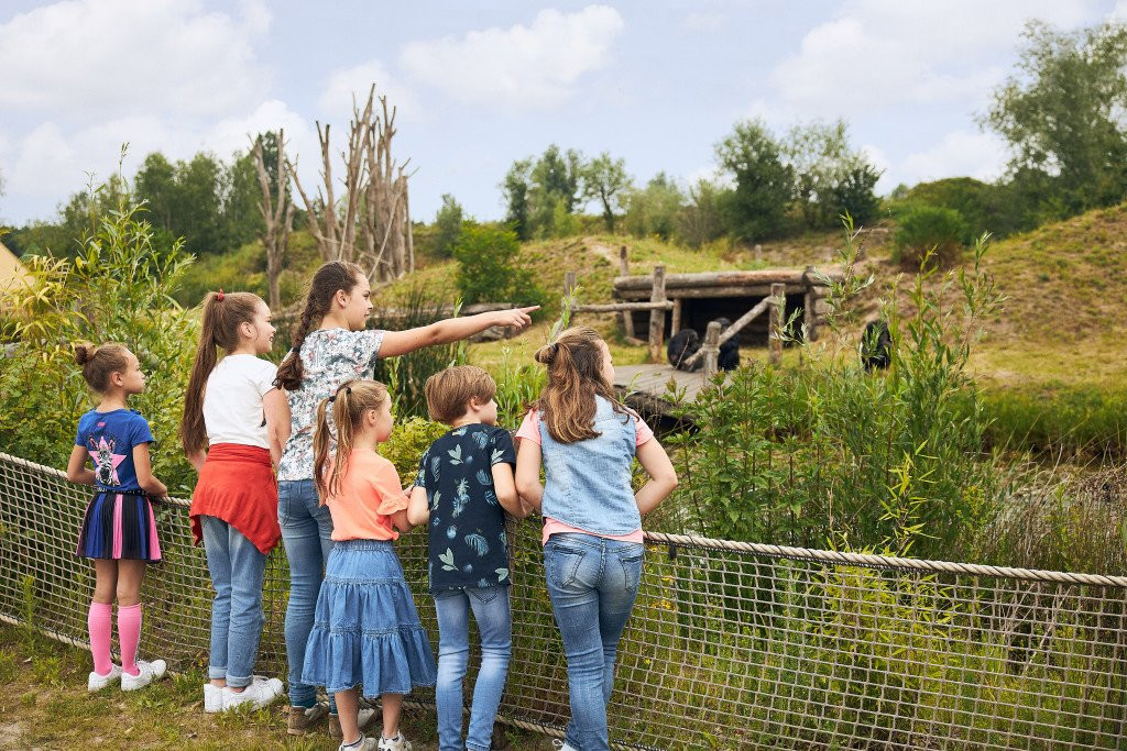 Eindhoven Zoo (voorheen Dierenrijk)景点图片