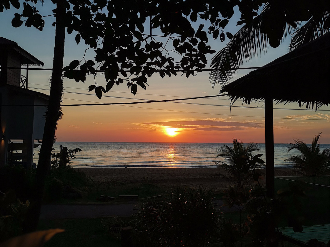 1511 Coconut Grove主图