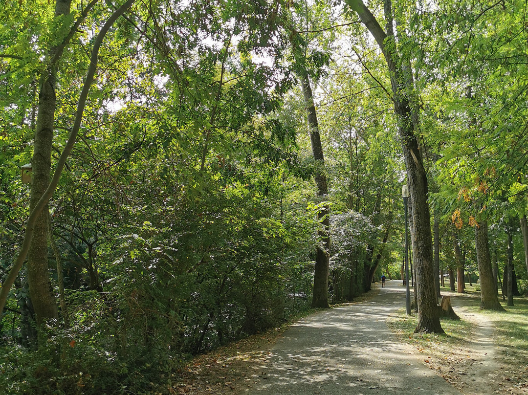 Parque Fluvial del Arga-潘普洛纳必去景点