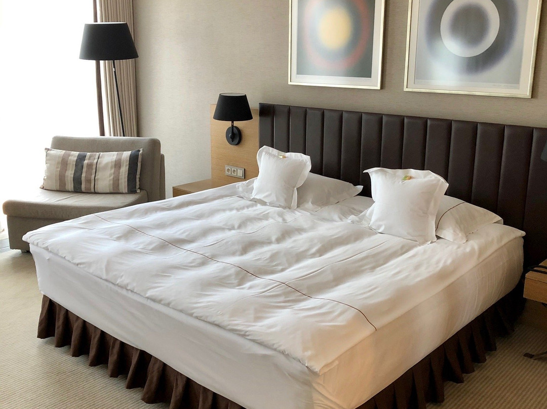 Grand Hotel Tiffi主图