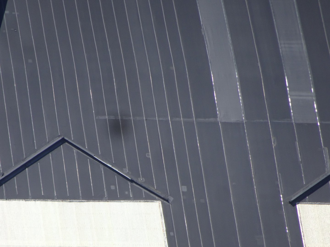 Goodyear Airdock-阿克伦必去景点