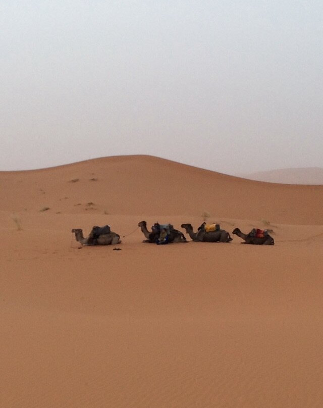 Morocco Private Tours-梅如卡必去景点