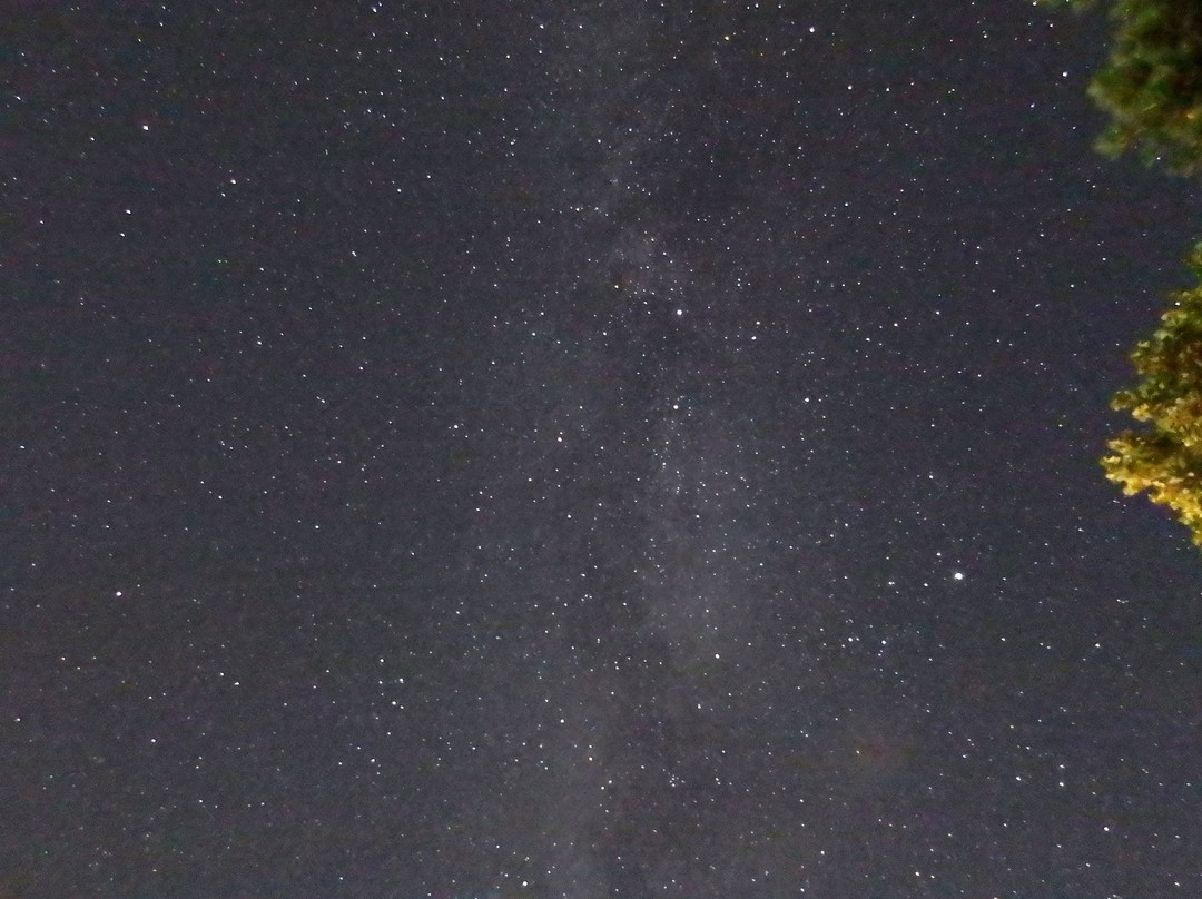 Ladram Bay Holiday Park主图