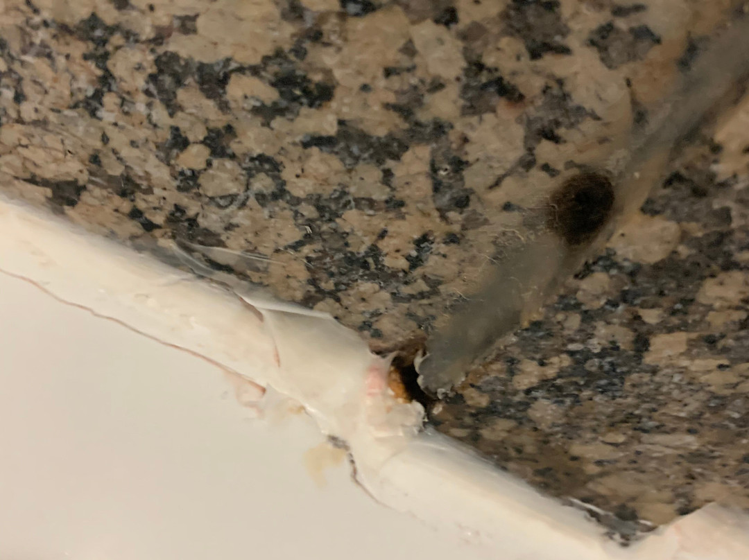 Holiday Inn Express & Suites Chaffee-jacksonville West By IHG主图