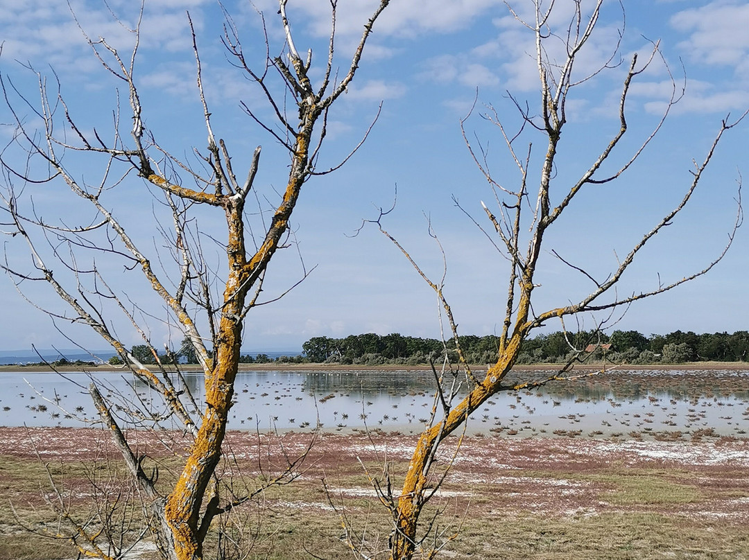 Nationalpark Neusiedler See – Seewinkel-Illmitz必去景点