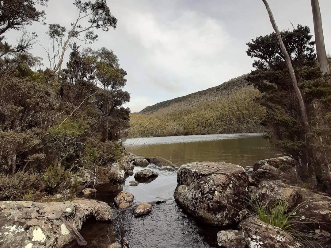 Lake Nicholls景点图片