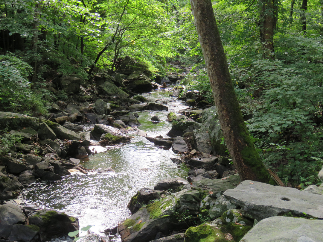 Rockefeller State Park Preserve景点图片