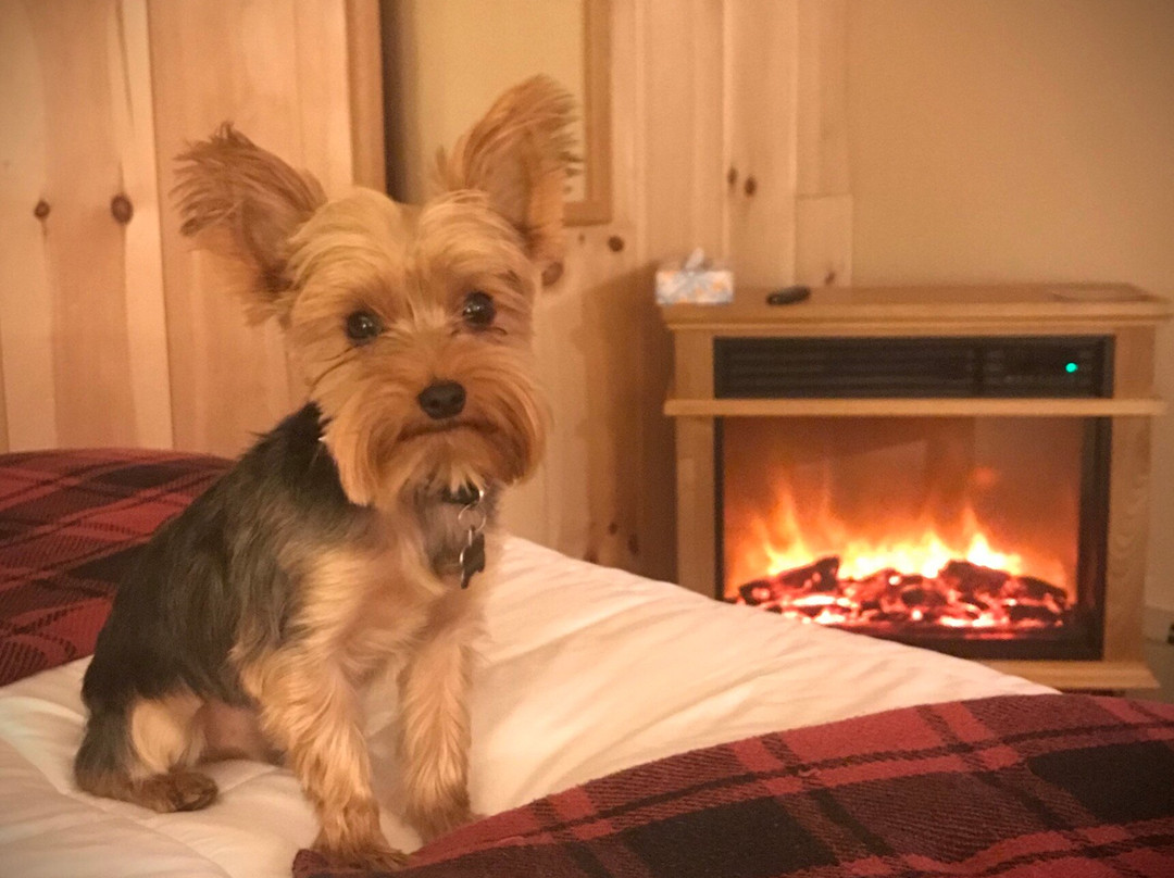 Spillover Motel主图