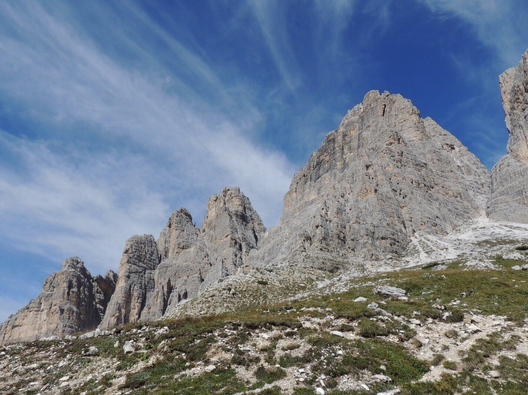 瑞泽亚酒店主图