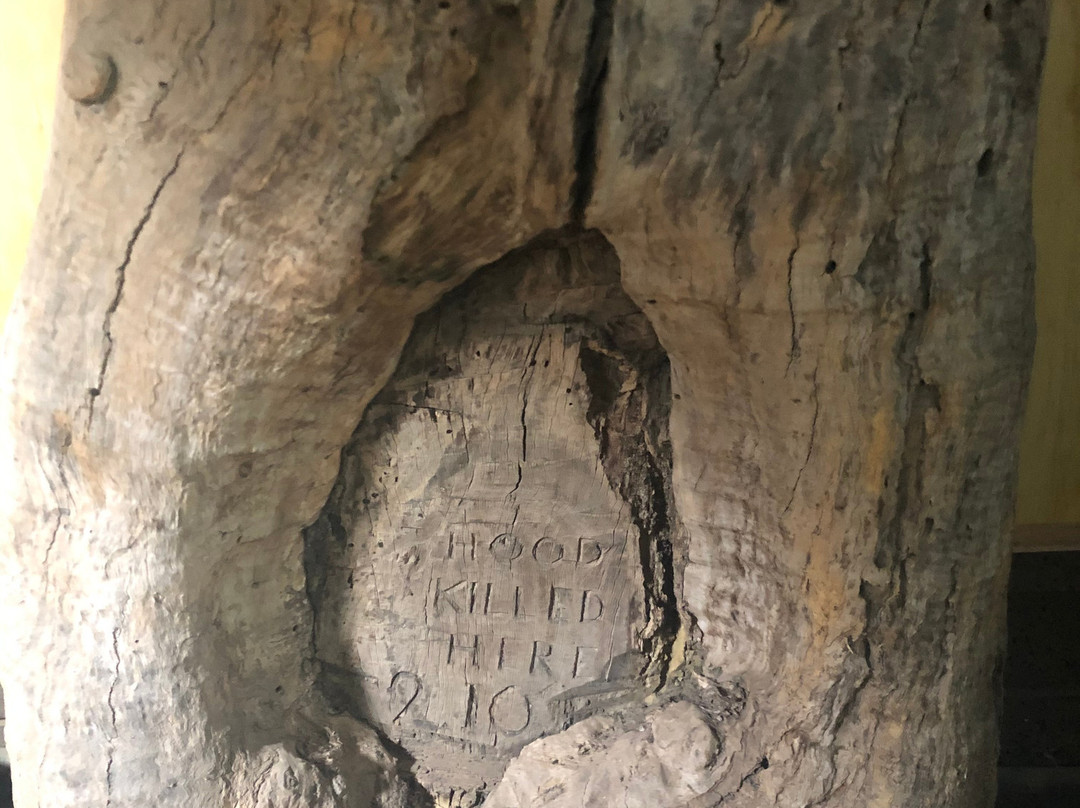 Gulgong Pioneers Museum-Gulgong必去景点