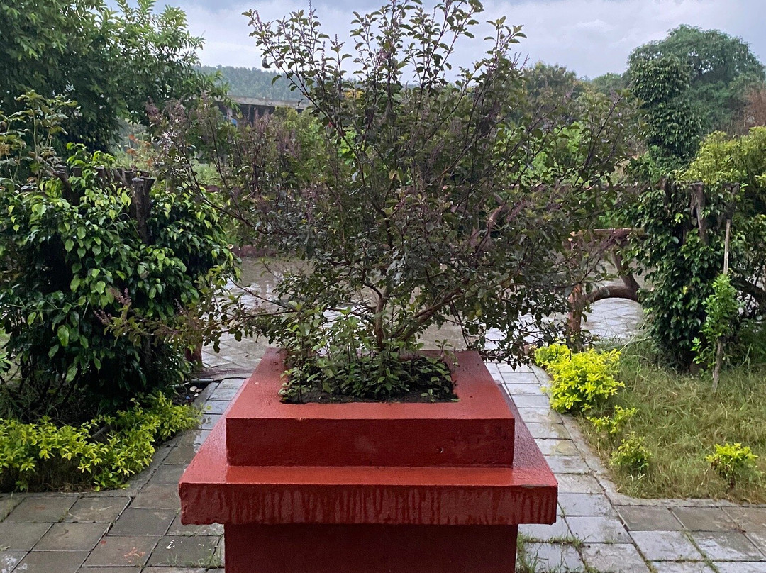 Satyadhara Yogalife Ashram India景点图片