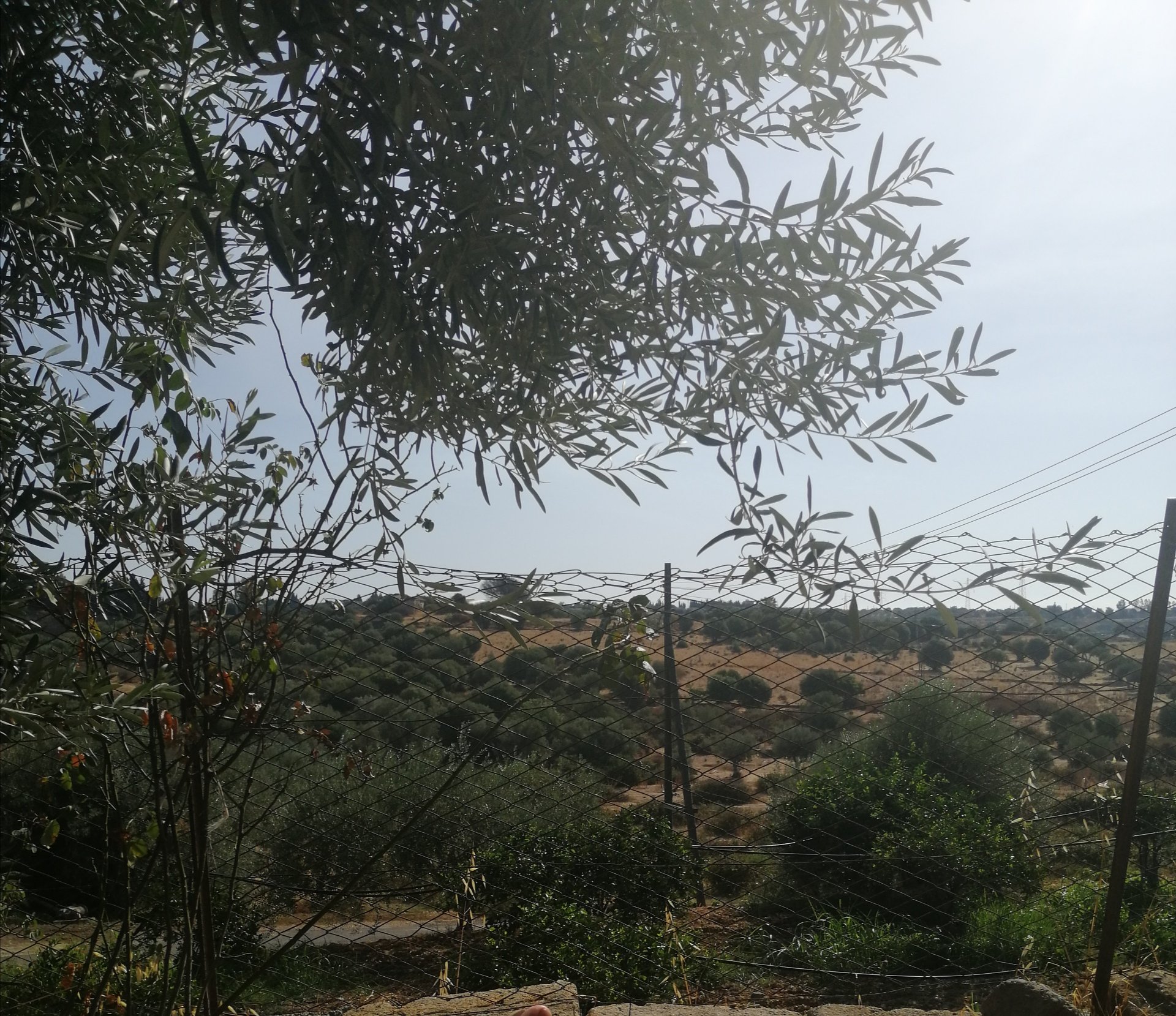 Agriturismo Ruvitello-官方
