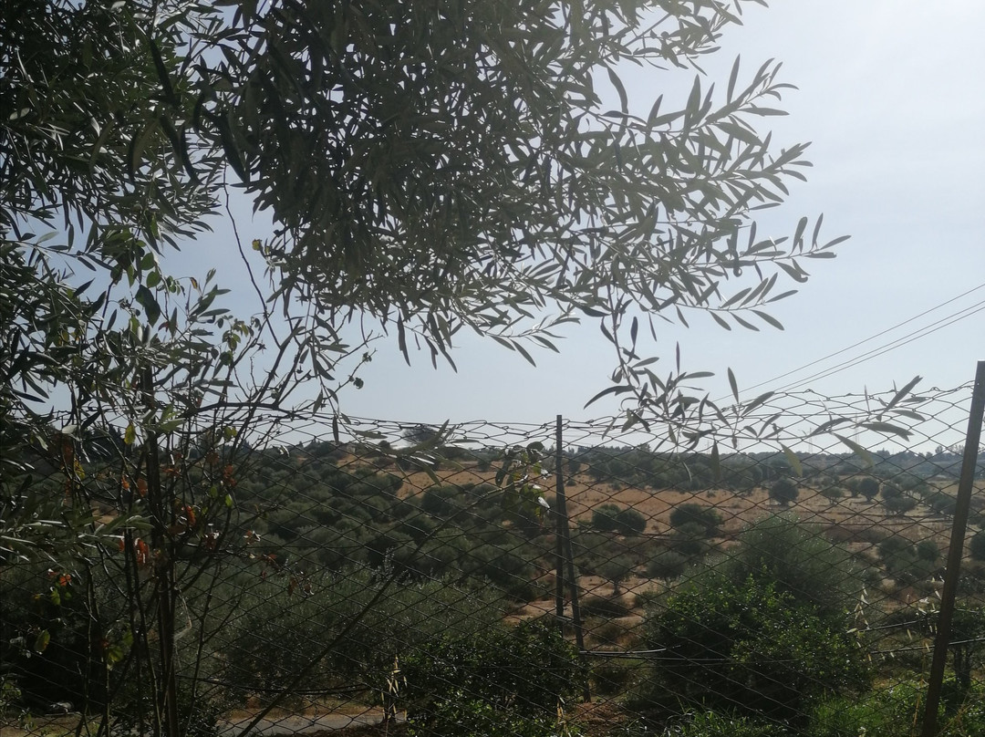 Agriturismo Ruvitello主图