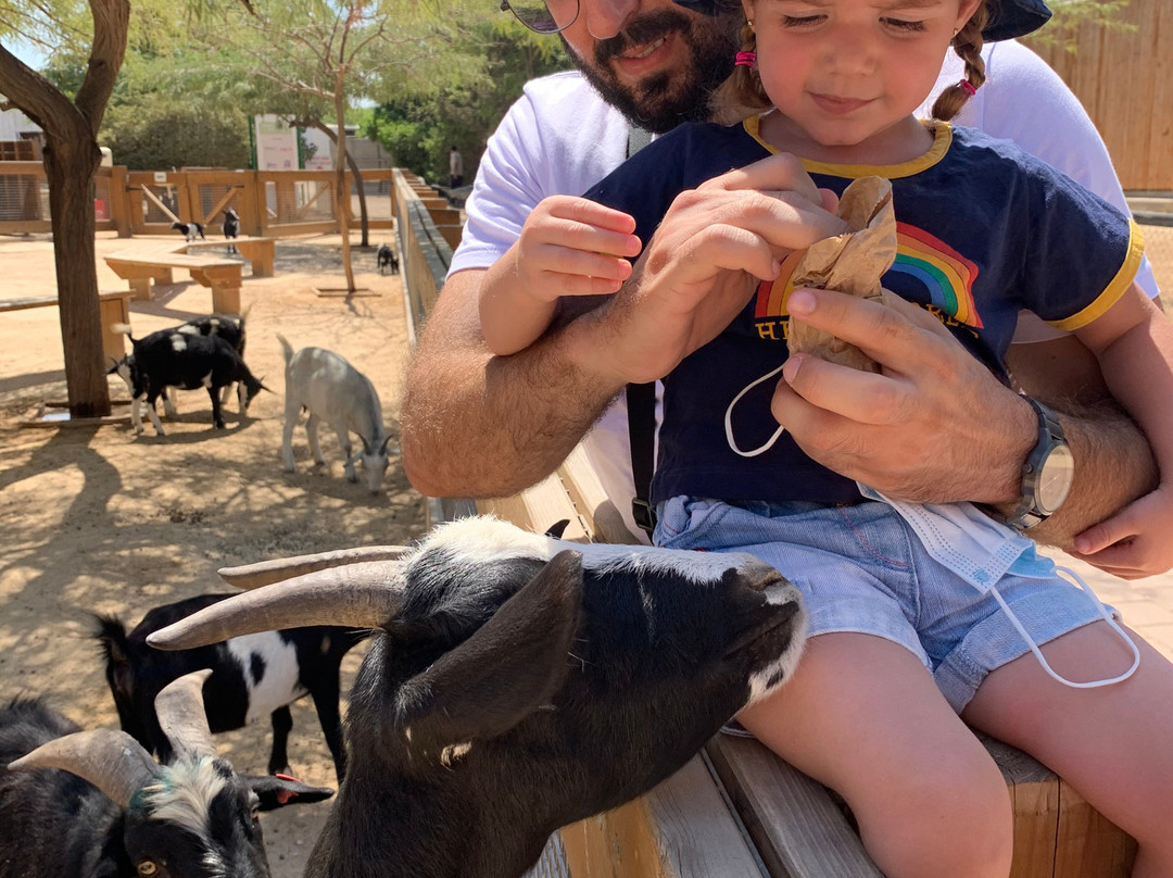 Negev Zoo-贝尔谢巴必去景点