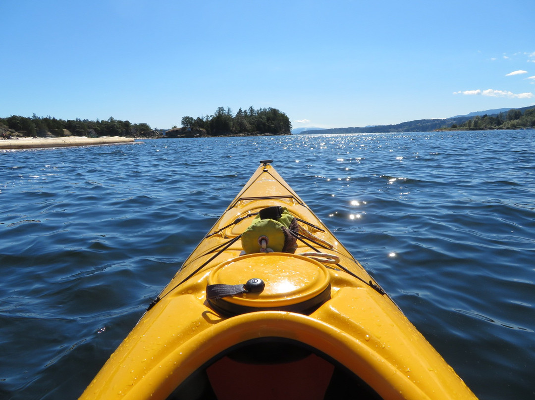 Sealegs Kayaking & Marine Adventures景点图片