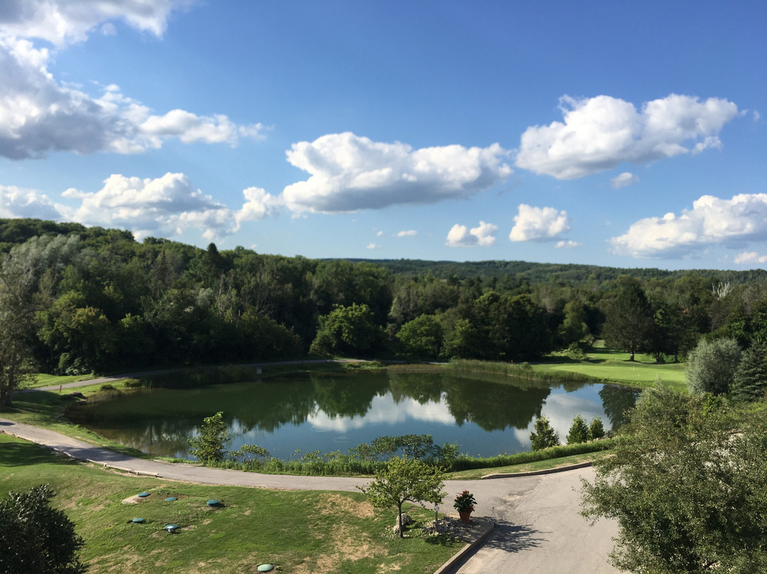 Hockley Valley Resort主图