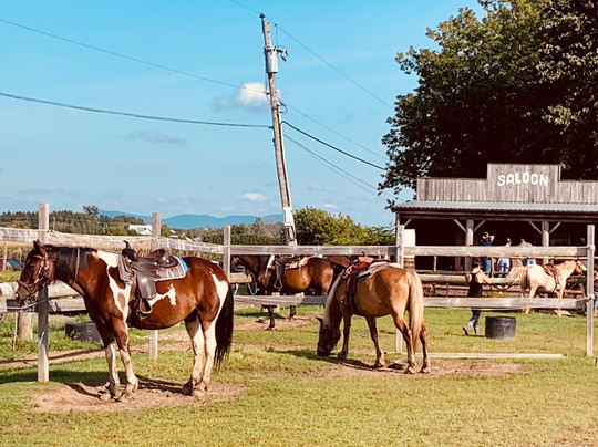 Centre d'Equitation Nouvelle-France-Saint-Jean-Baptiste必去景点