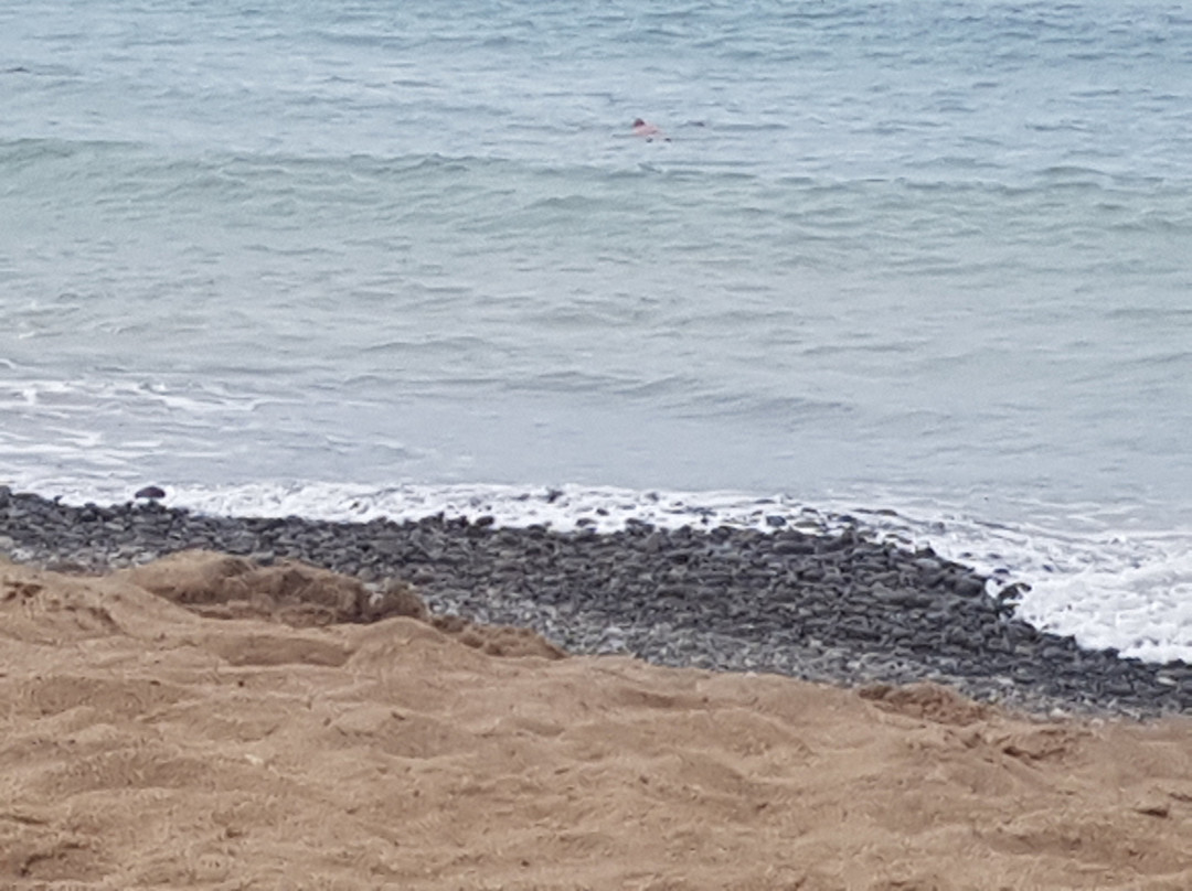 Playa De Bakio景点图片