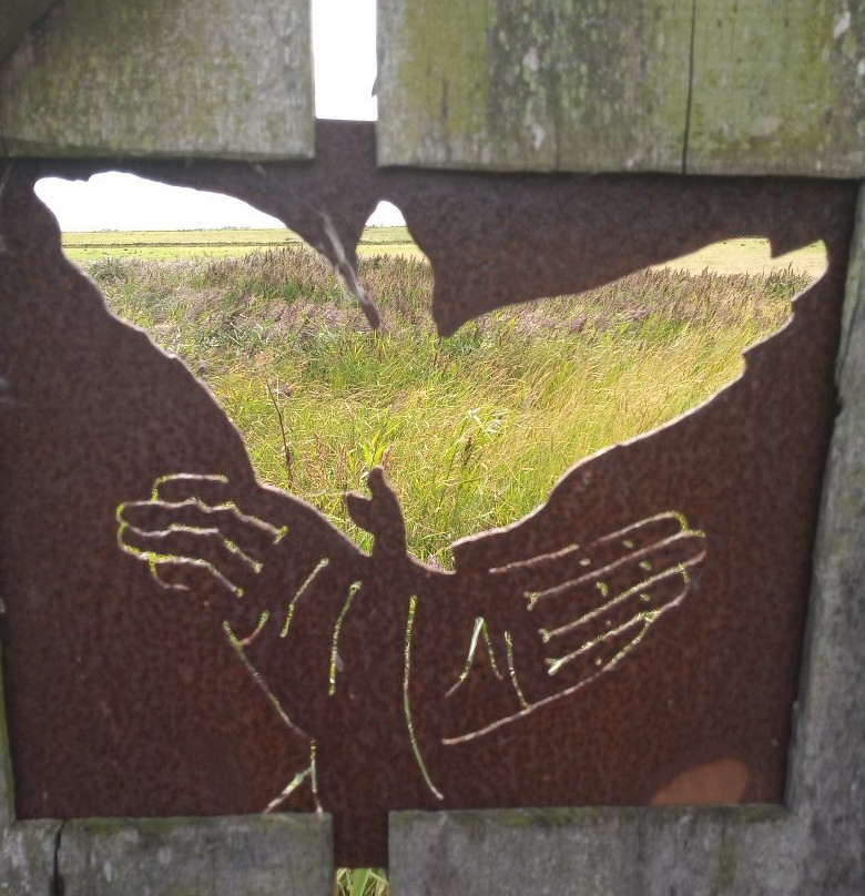 Lincolnshire Coastal Country Park-Anderby Creek必去景点