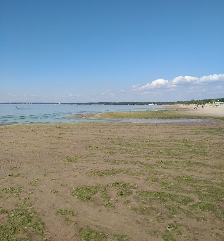 Dyuny Beach景点图片
