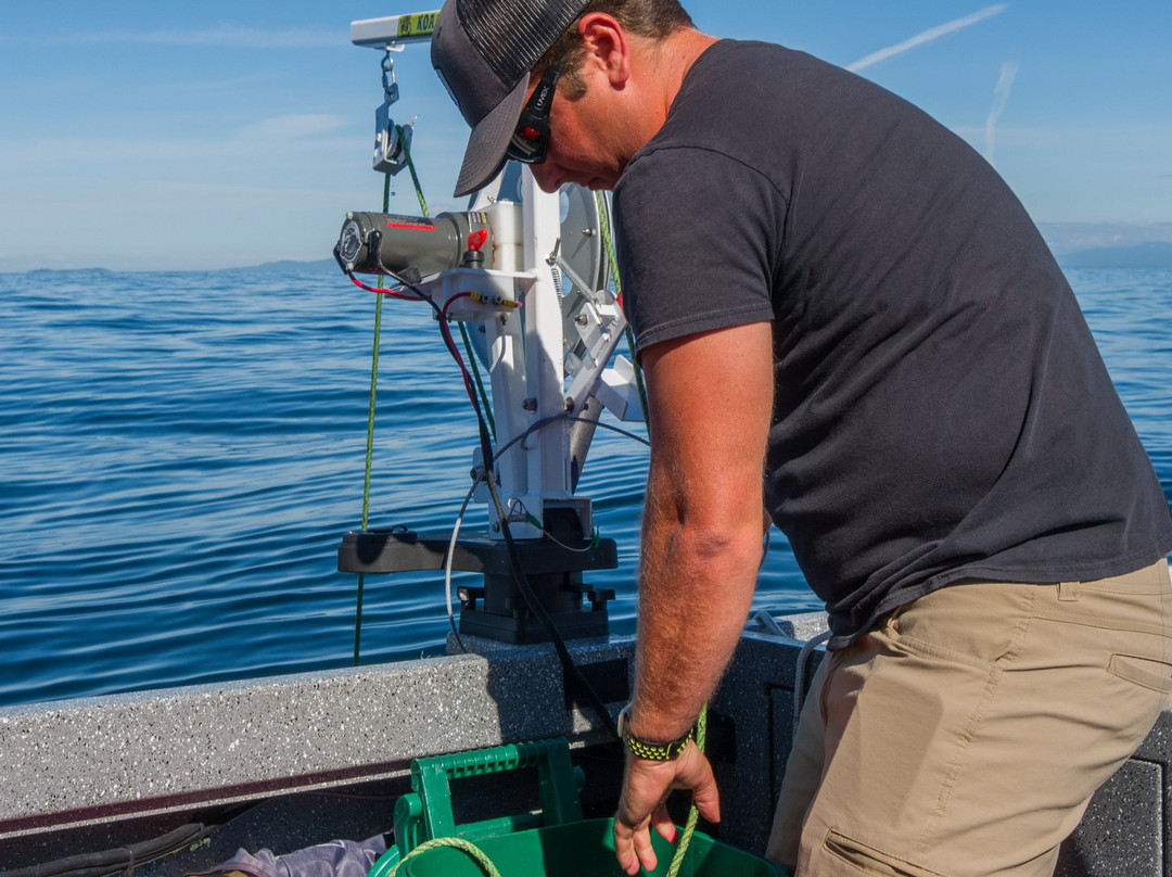 Andrew's West Coast Adventures-纳奈莫必去景点