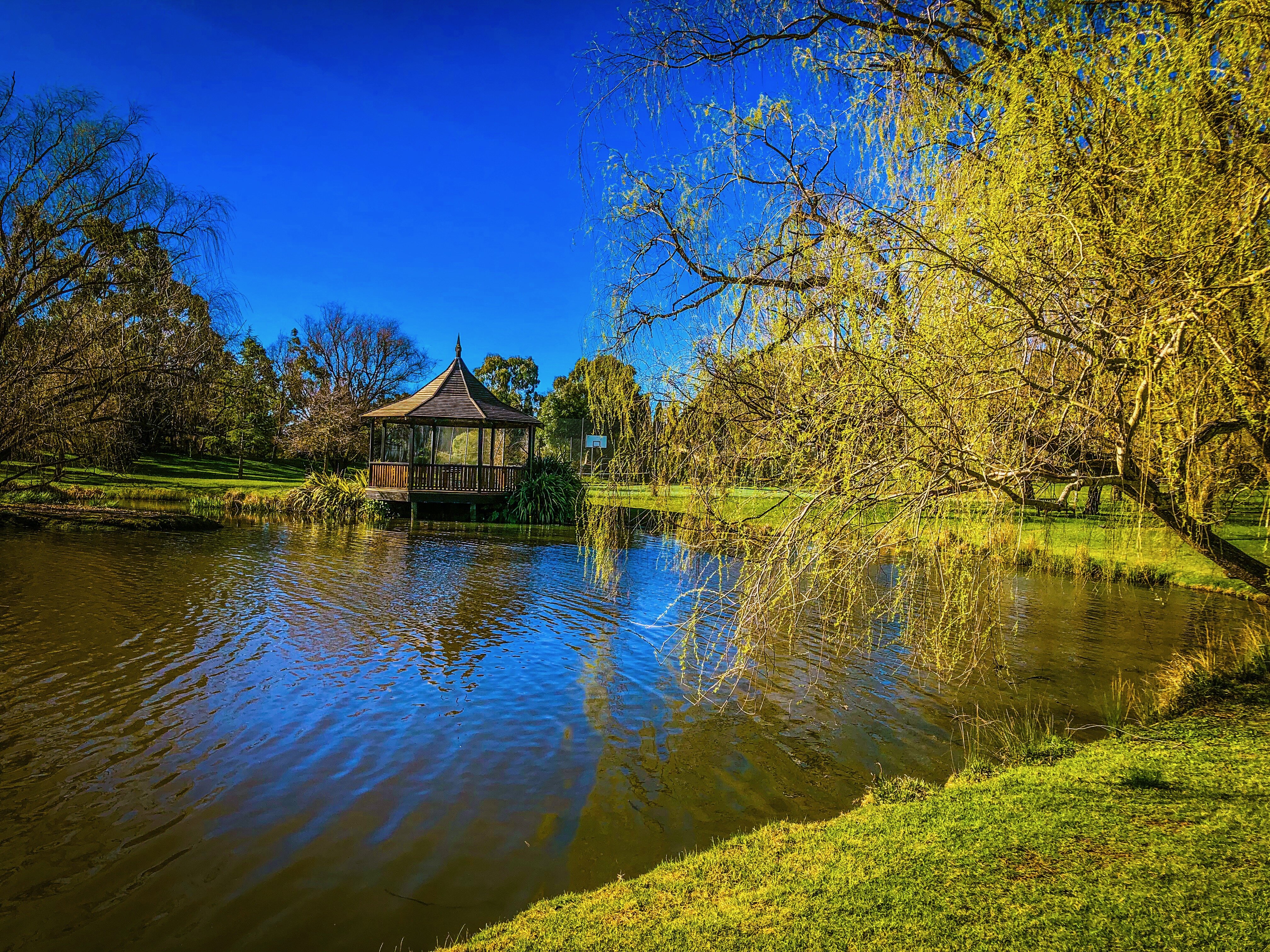 Briars Country Lodge-浴室