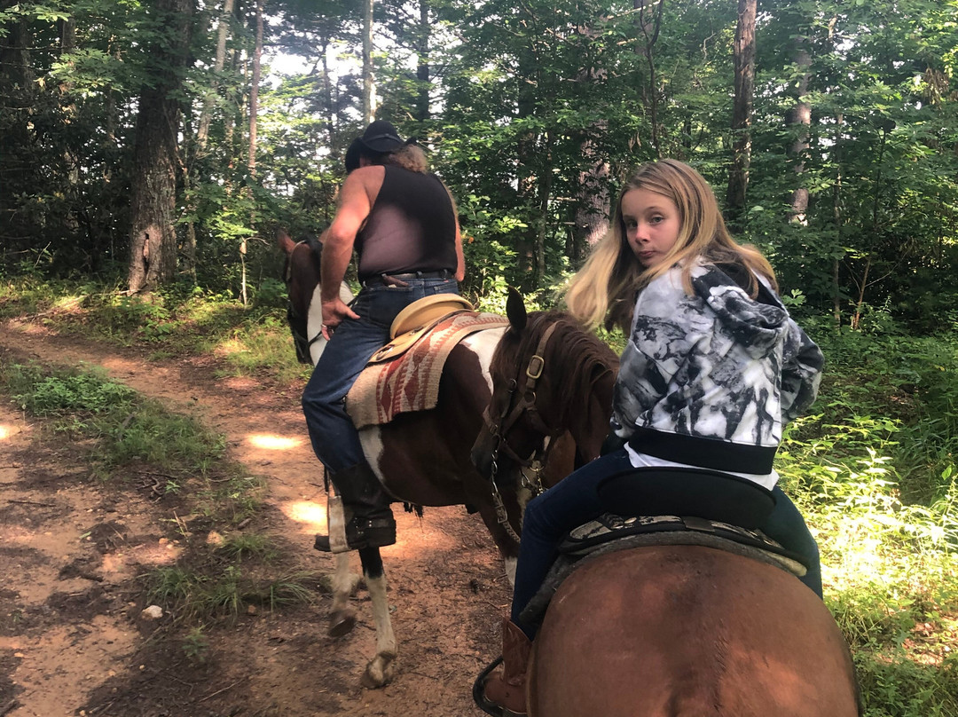 Panther Creek Horseback Rides-Clyde必去景点