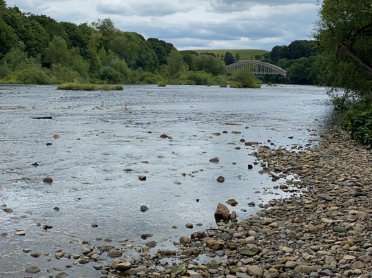Tyne Riverside Country Park-纽卡斯尔必去景点