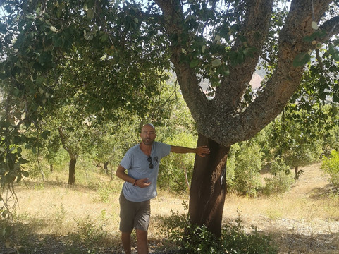 Zebra Safari Tours-阿尔布赞拉必去景点