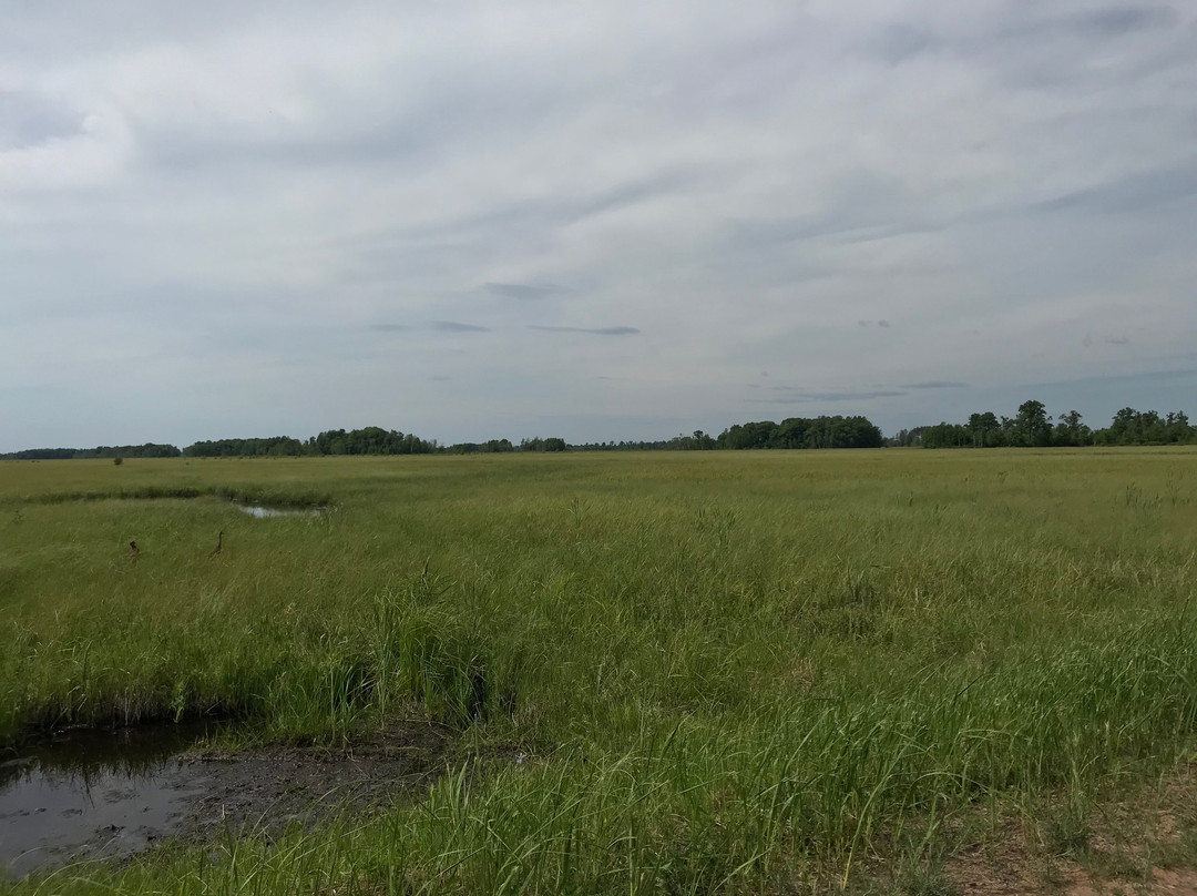 Fish Lake Wildlief Area-Grantsburg必去景点