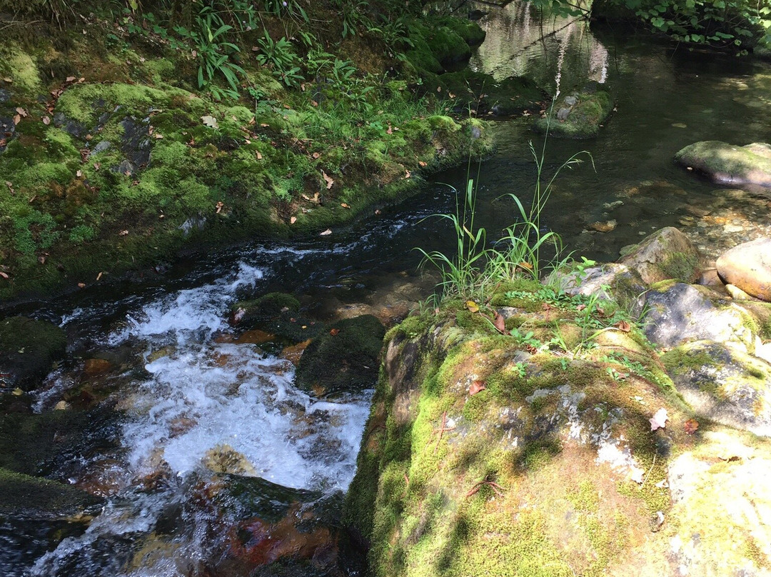 Area Recreativa La Pesanca-Riofabar必去景点