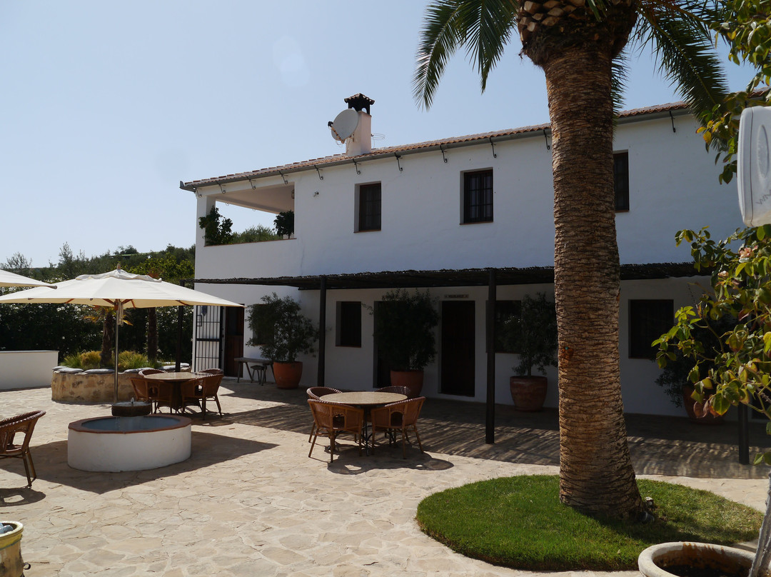 Casa Rural El Olivar主图