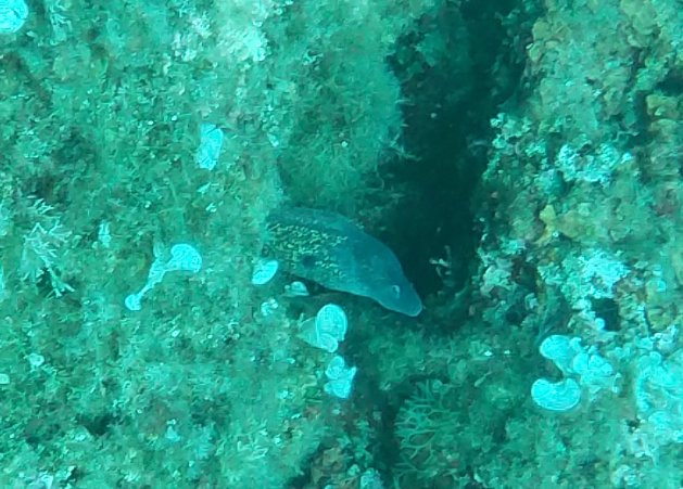 Dive4earth Diving center-Terrasini必去景点
