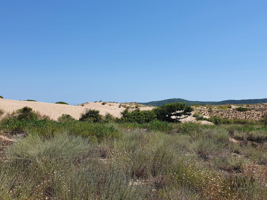Arkutino Beach-普里莫斯科必去景点