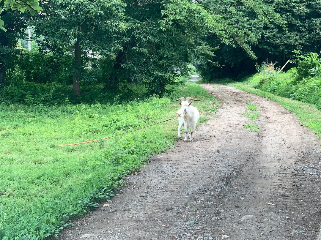 Shizukuishi Yu-yu Farm-雫石町必去景点