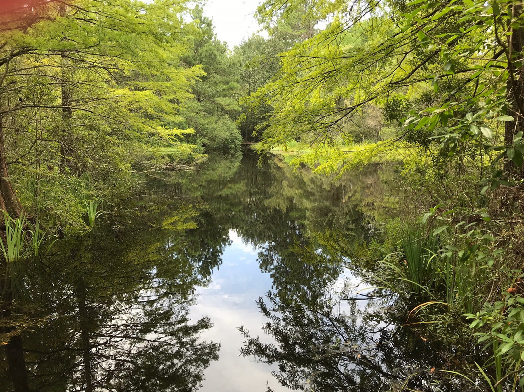 Crosby Arboretum-Picayune必去景点