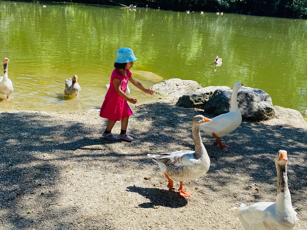 Tierpark Stadt Haag-Haag必去景点
