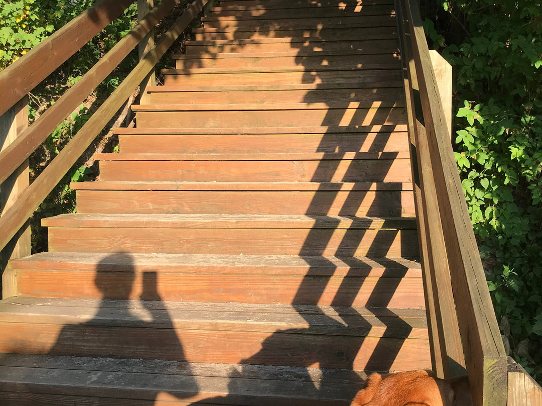 Gordon Beach Inn主图