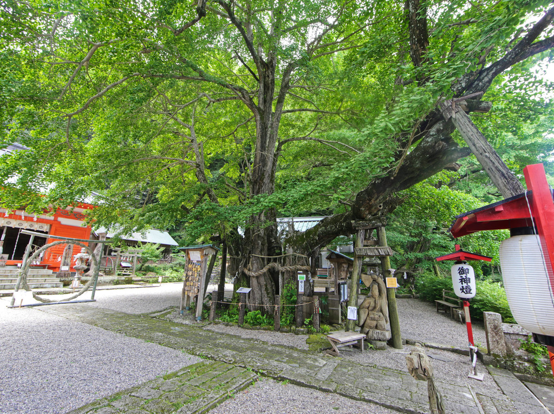 Inashimo Shrine景点图片