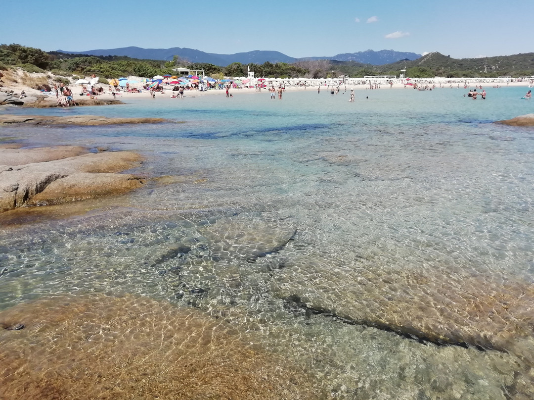 Spiaggia Scoglio di Peppino景点图片