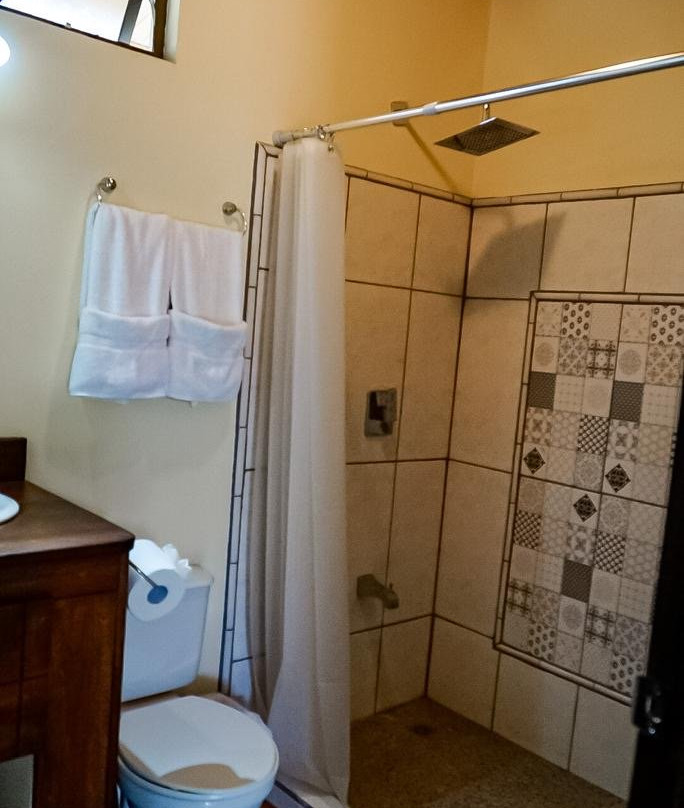 Single Fin Avellanas Hotel主图