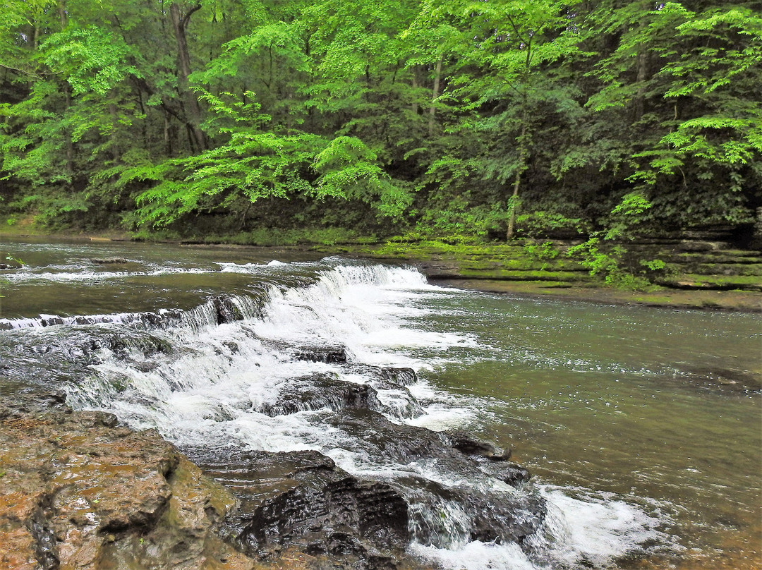 David Crockett State Park-Lawrenceburg必去景点