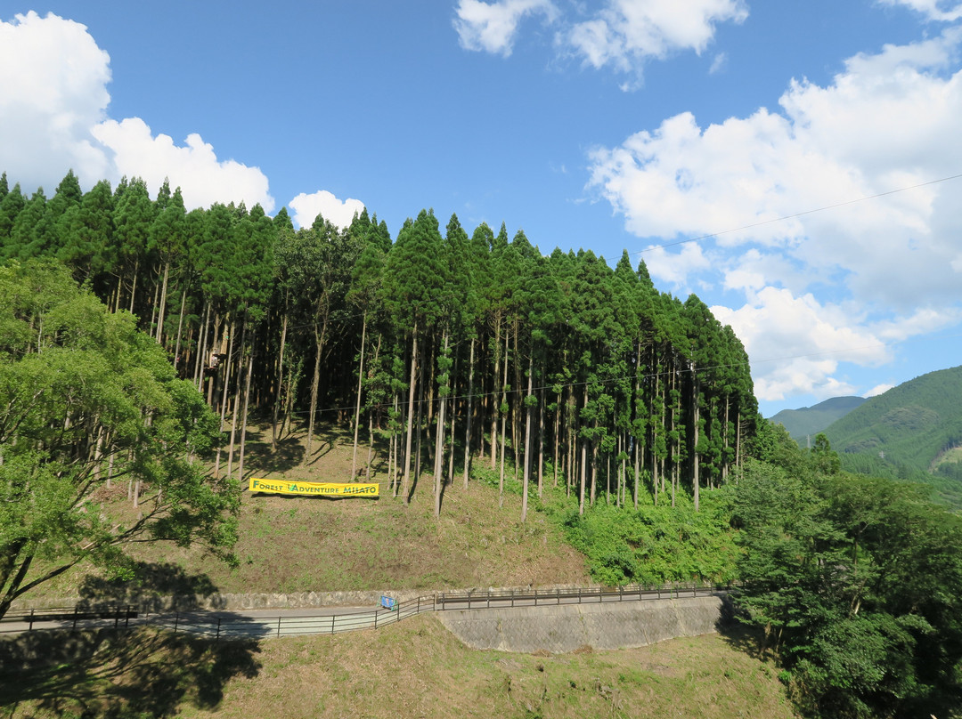 Forest Adventure Misato景点图片